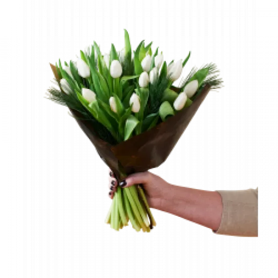 Christmas Tulips White 240518