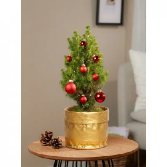 Magiczne życzenia świąteczne