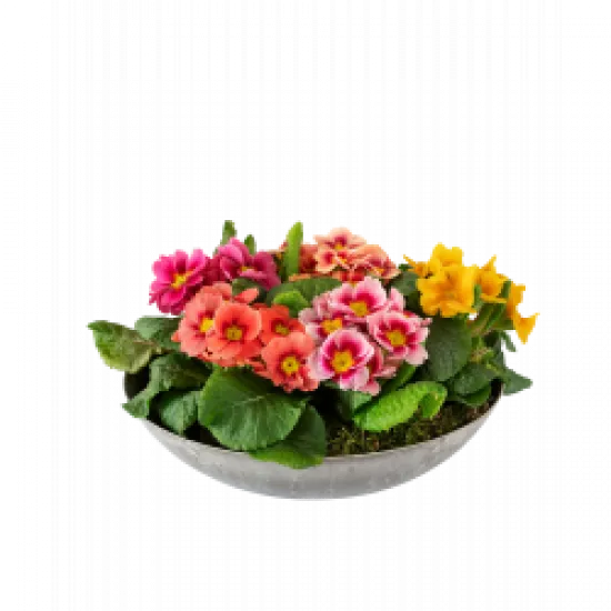 Kompozycja Spring Bowl