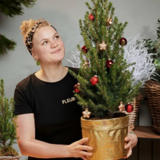 Little Christmas Bell