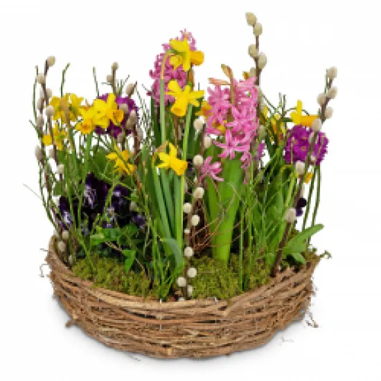 Planted Basket Colorful spring wreath