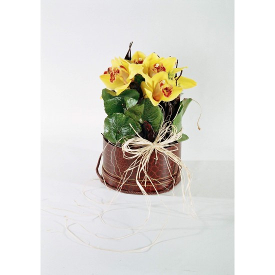 Box arrangement  with orchids