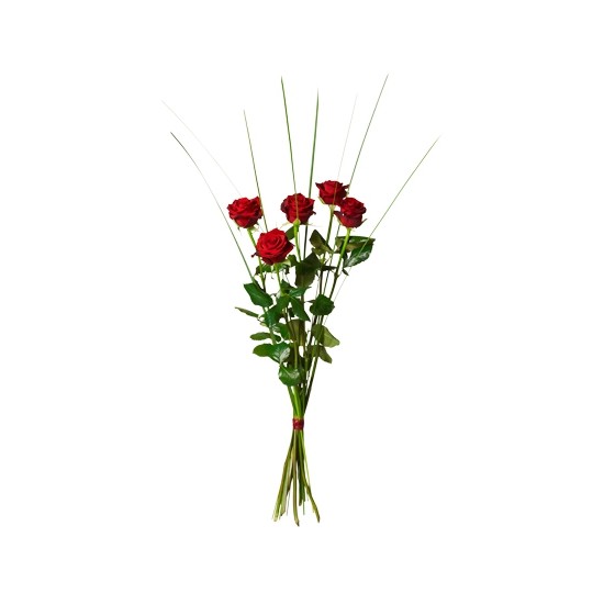 Bouquet of 5 red roses