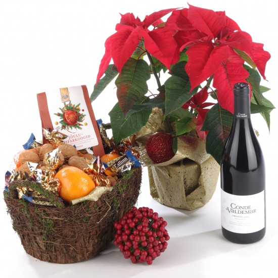 Poinsettia Plant and Basket with Sweets