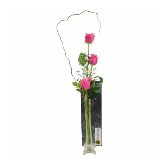 3 Roses - Pink
