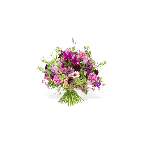 Violetta