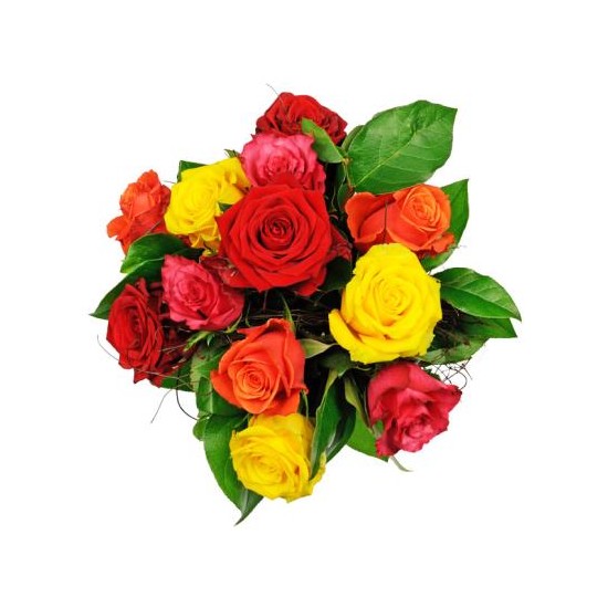 Round bouquet of 12 mixed coloured Roses (at least 4 different colours) with some green filler