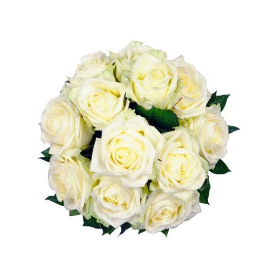 12 white Roses