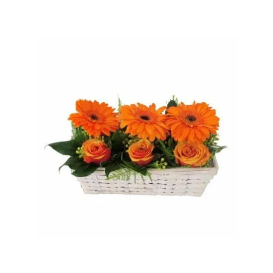 Gerbera Basket