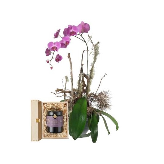 Szlachetna Orchidea ze szwajcarskim miodem