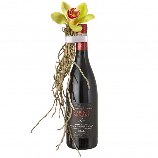 A charming Genie in a Bottle: with Amarone della Valpolicella Classico DOCG (75cl)