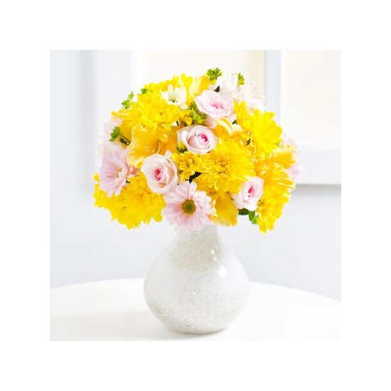 Colourful Bouquet of Chrysanthemums