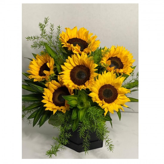 6 Sunflowers in a box