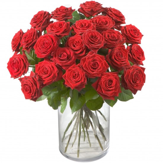 Bouquet of vinous roses 