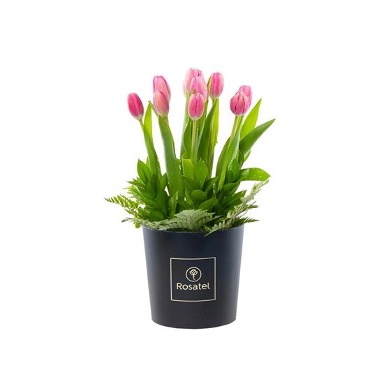 Rosatel Tulip Hatbox
