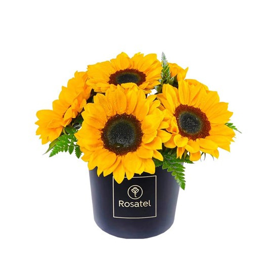 Sunflower Rosatel Hatbox