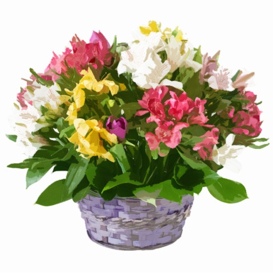 Arrangement of Cut Flowers in a Basket