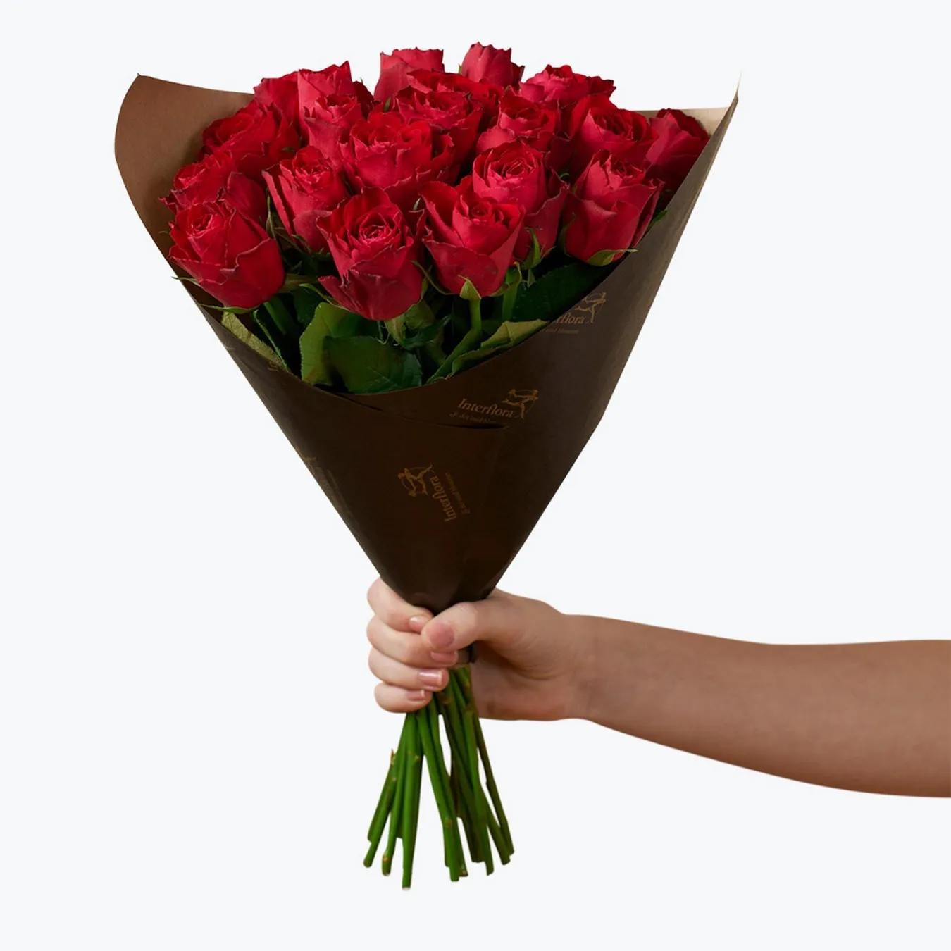 Red roses 20  242623 - Norway