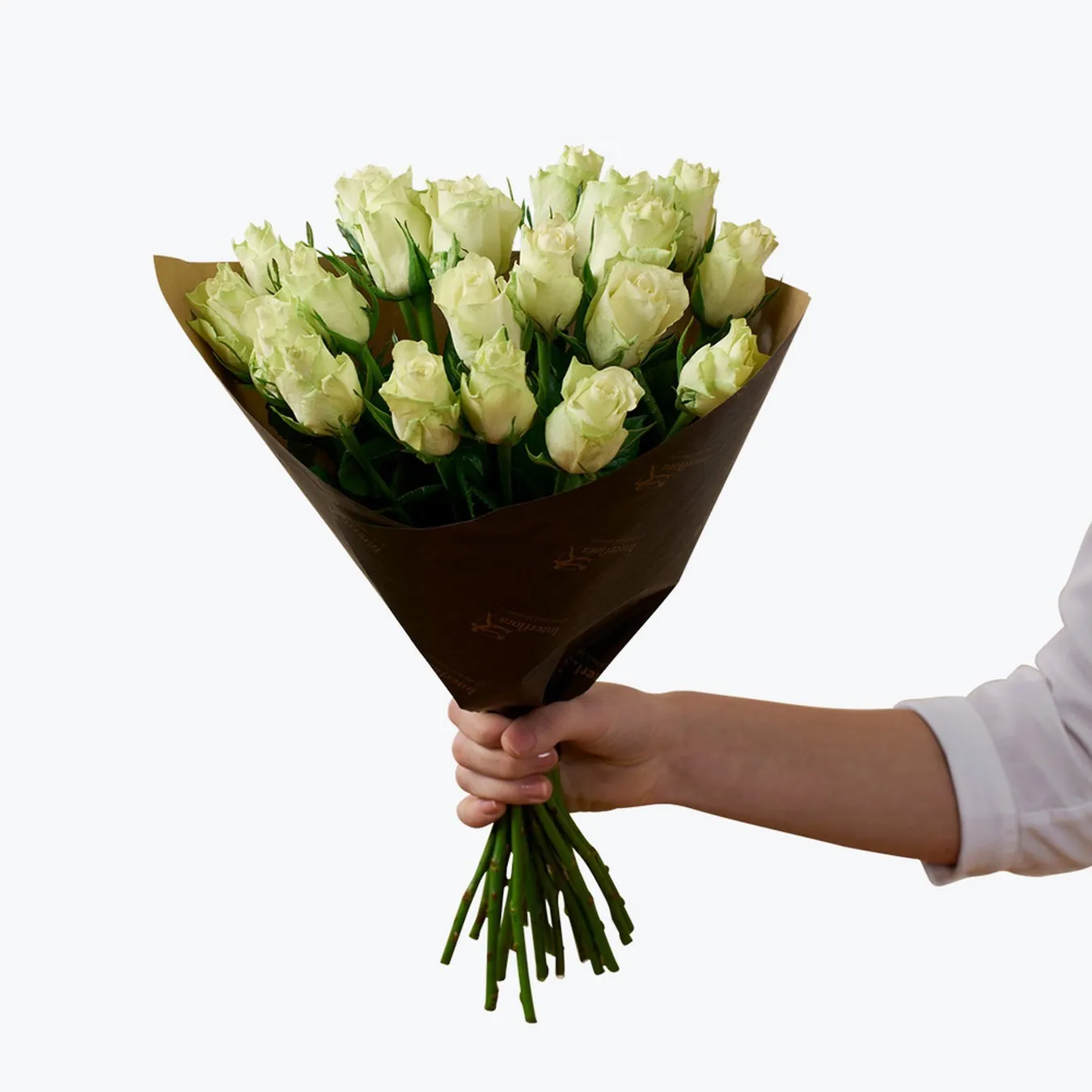 Roses White 20  242620 - Norway