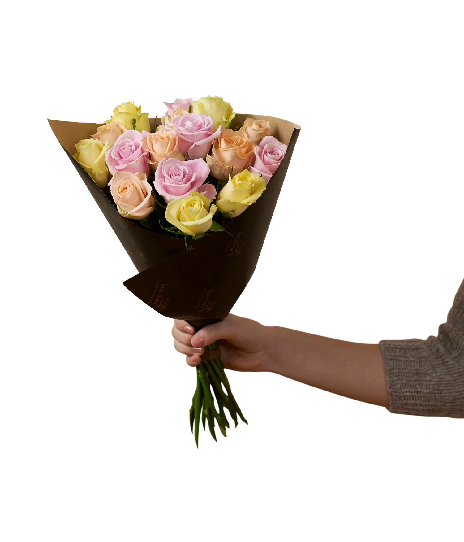 Winter Roses  15  242616 - Norway