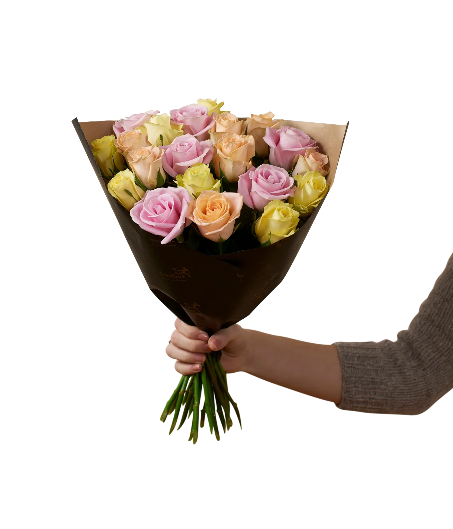 Winter Roses  20  242617