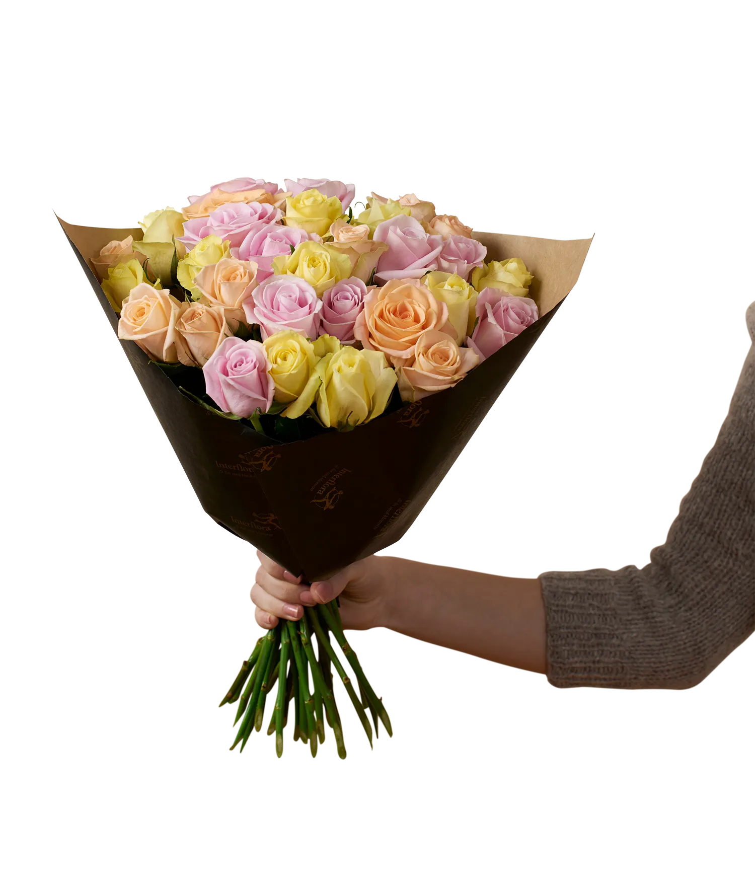 Winter Roses  30  242618