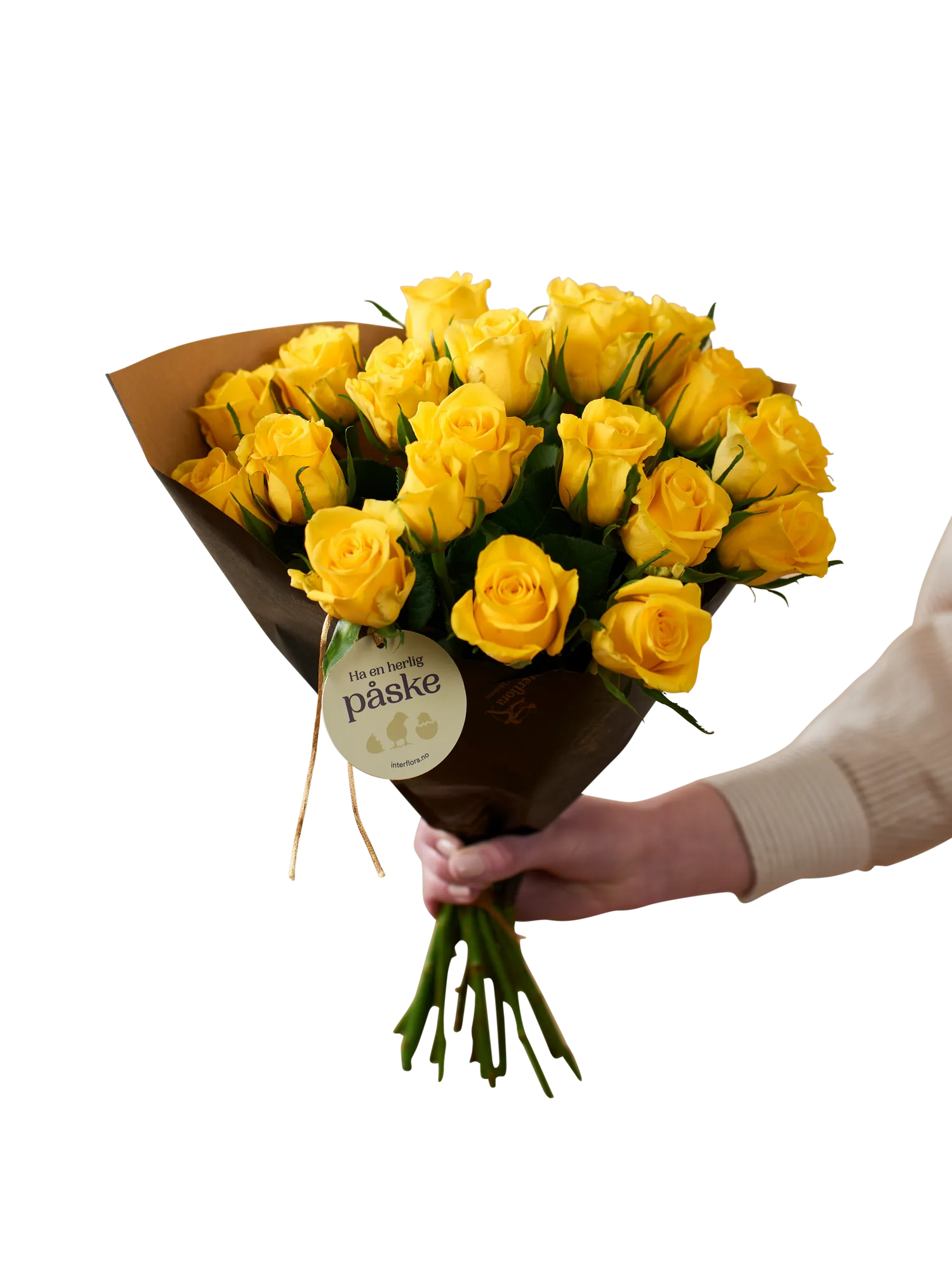 Easter Roses 240138 - Norway