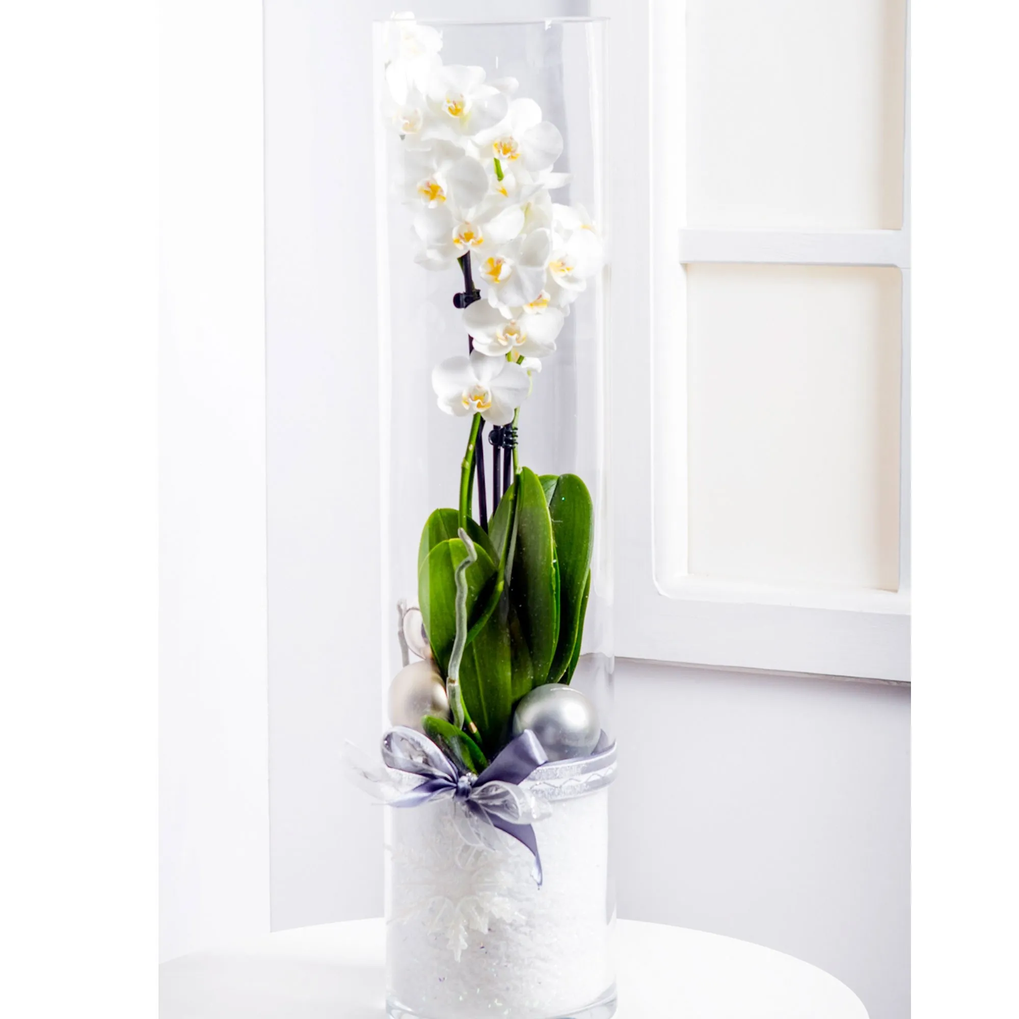 Modern Christmas Arrangement with Phalaenopsis