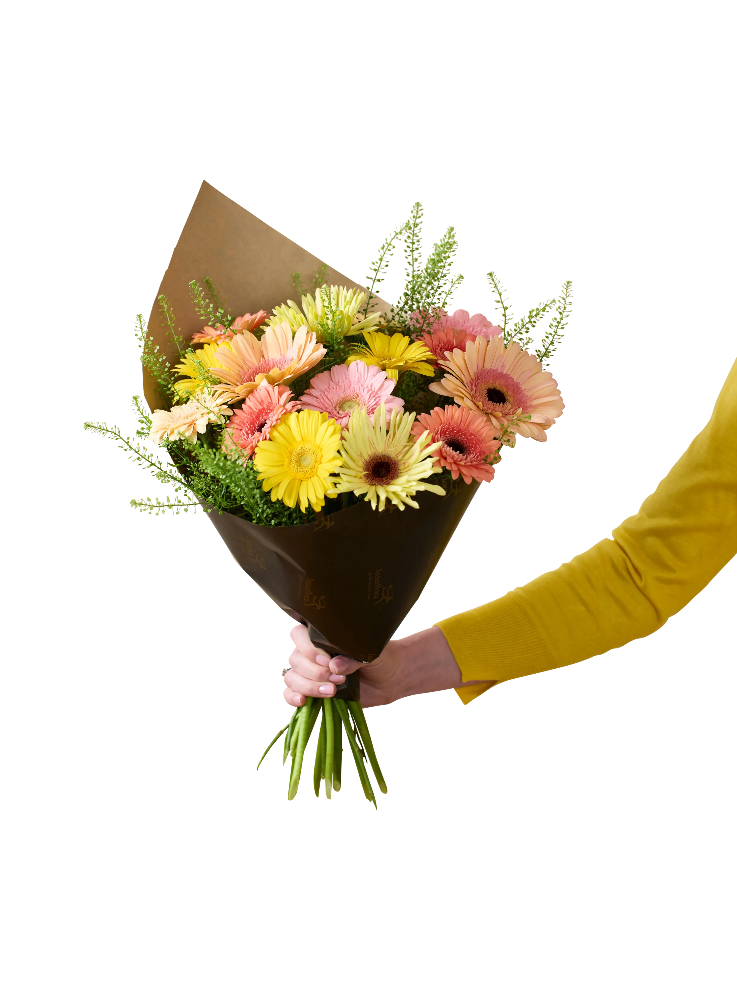 Vibrant 250327 - Norway