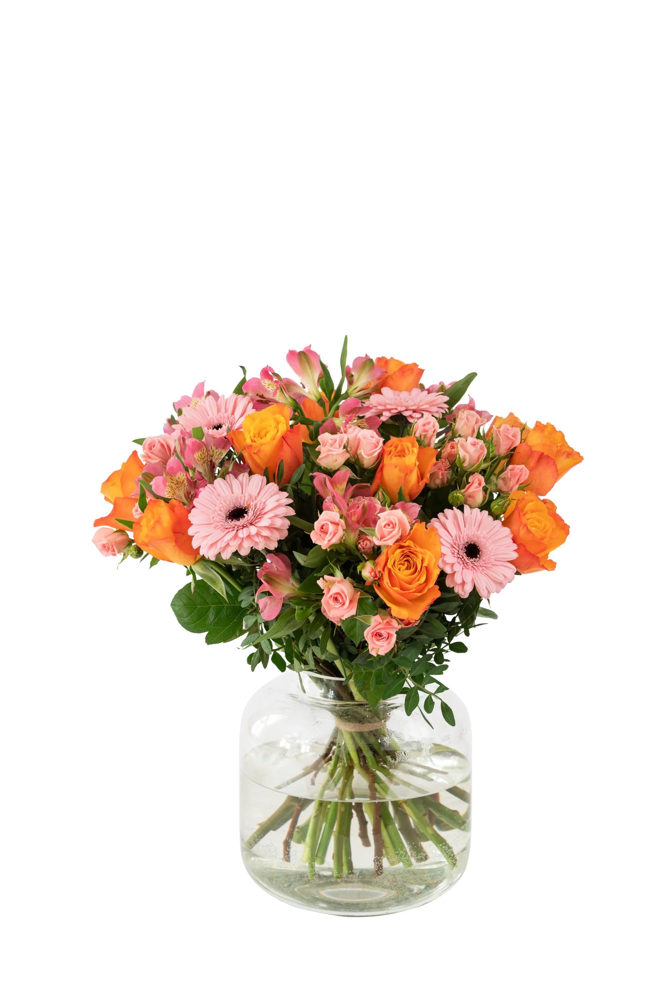 Congratulations 242606