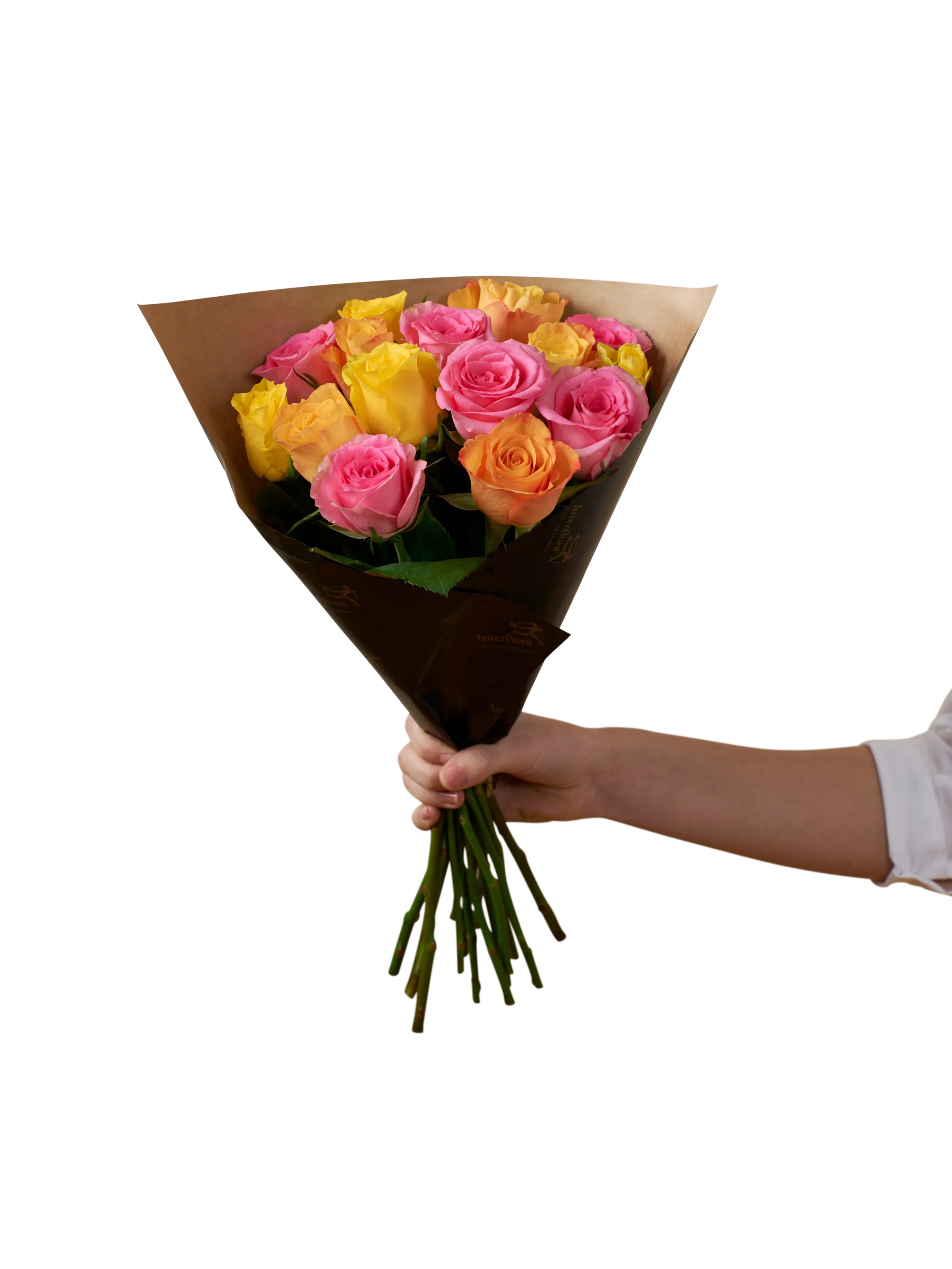 Roses for spring 242625