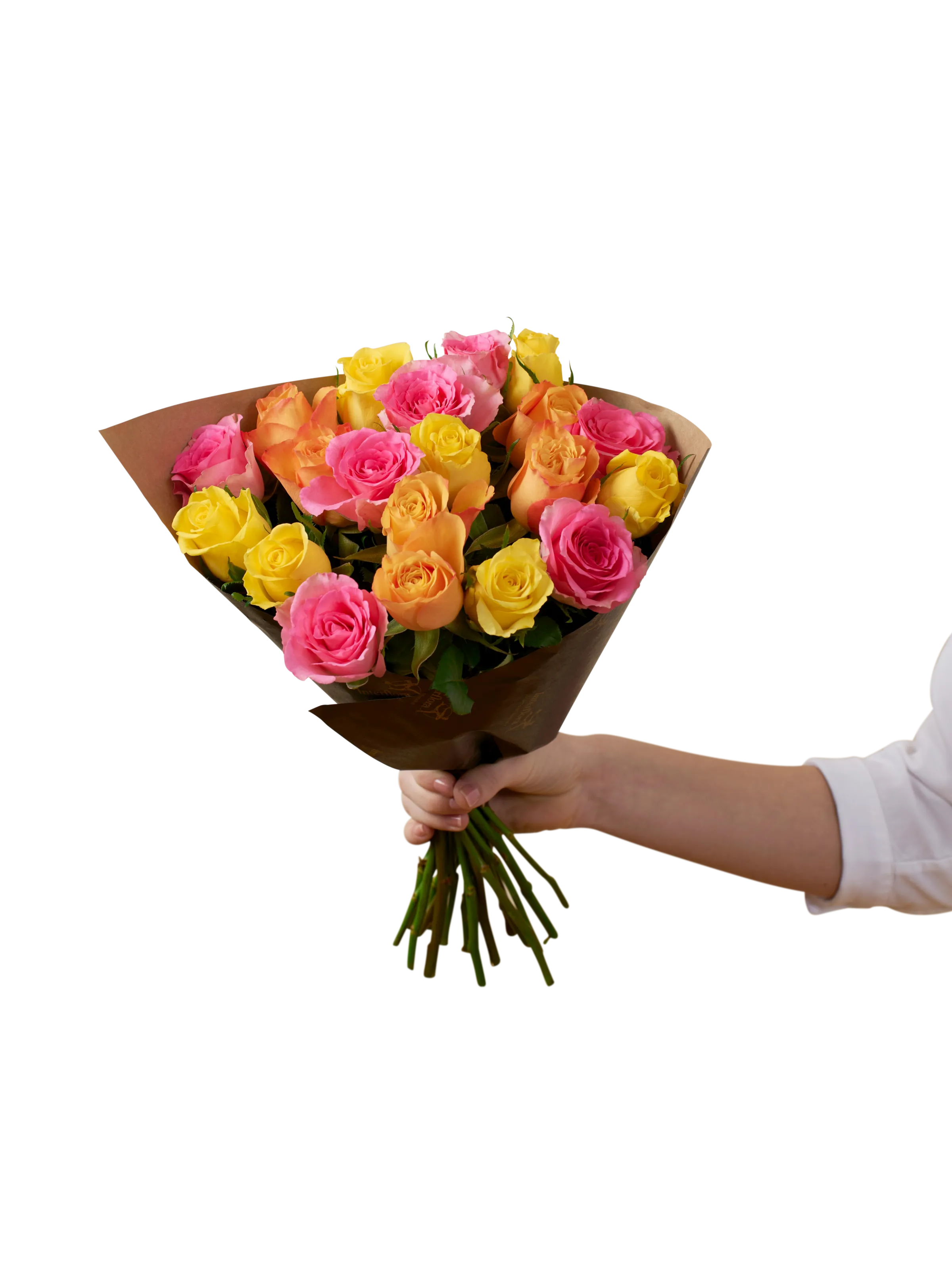 Roses for Spring 242626