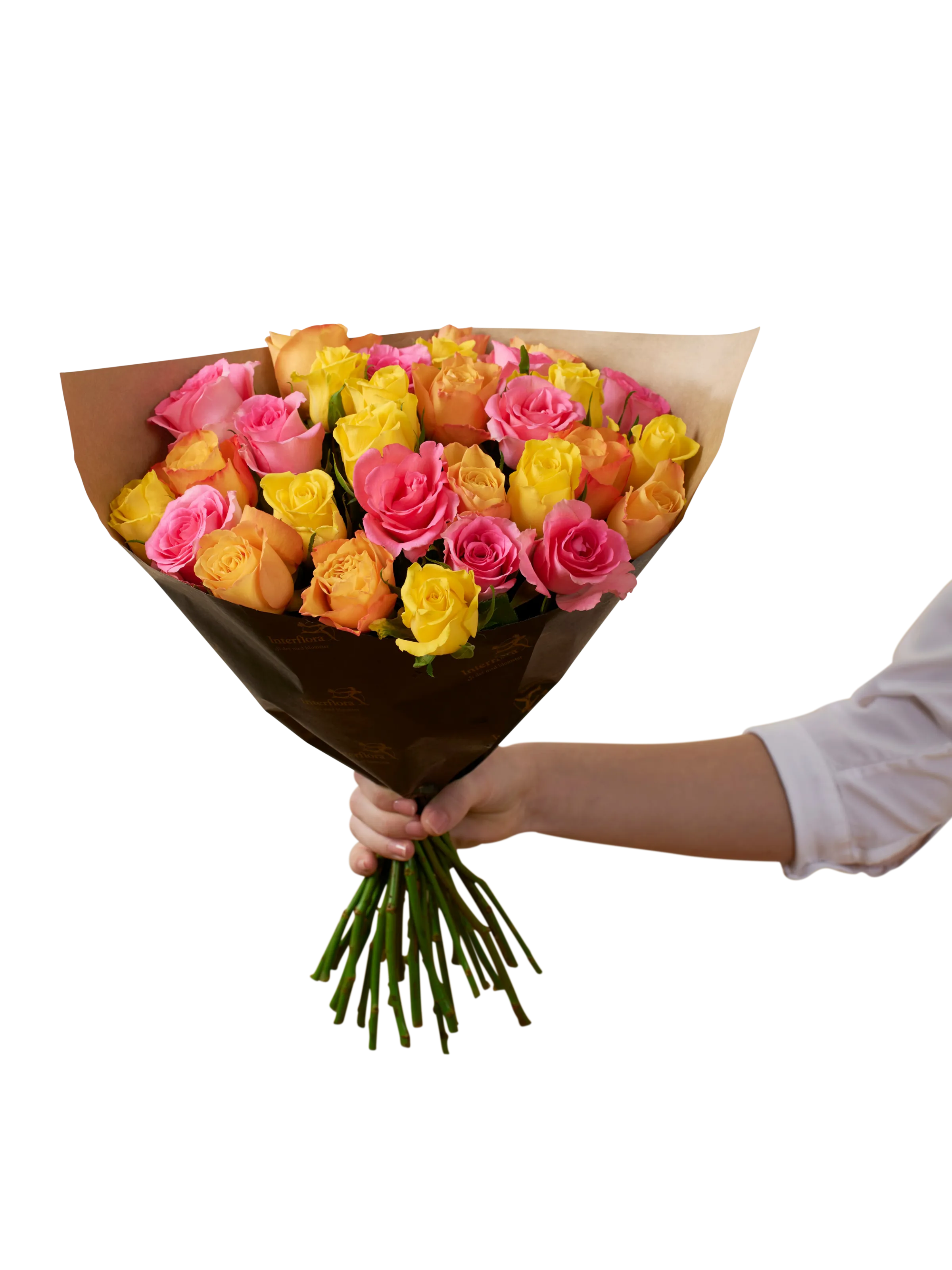 Roses for Spring 242627