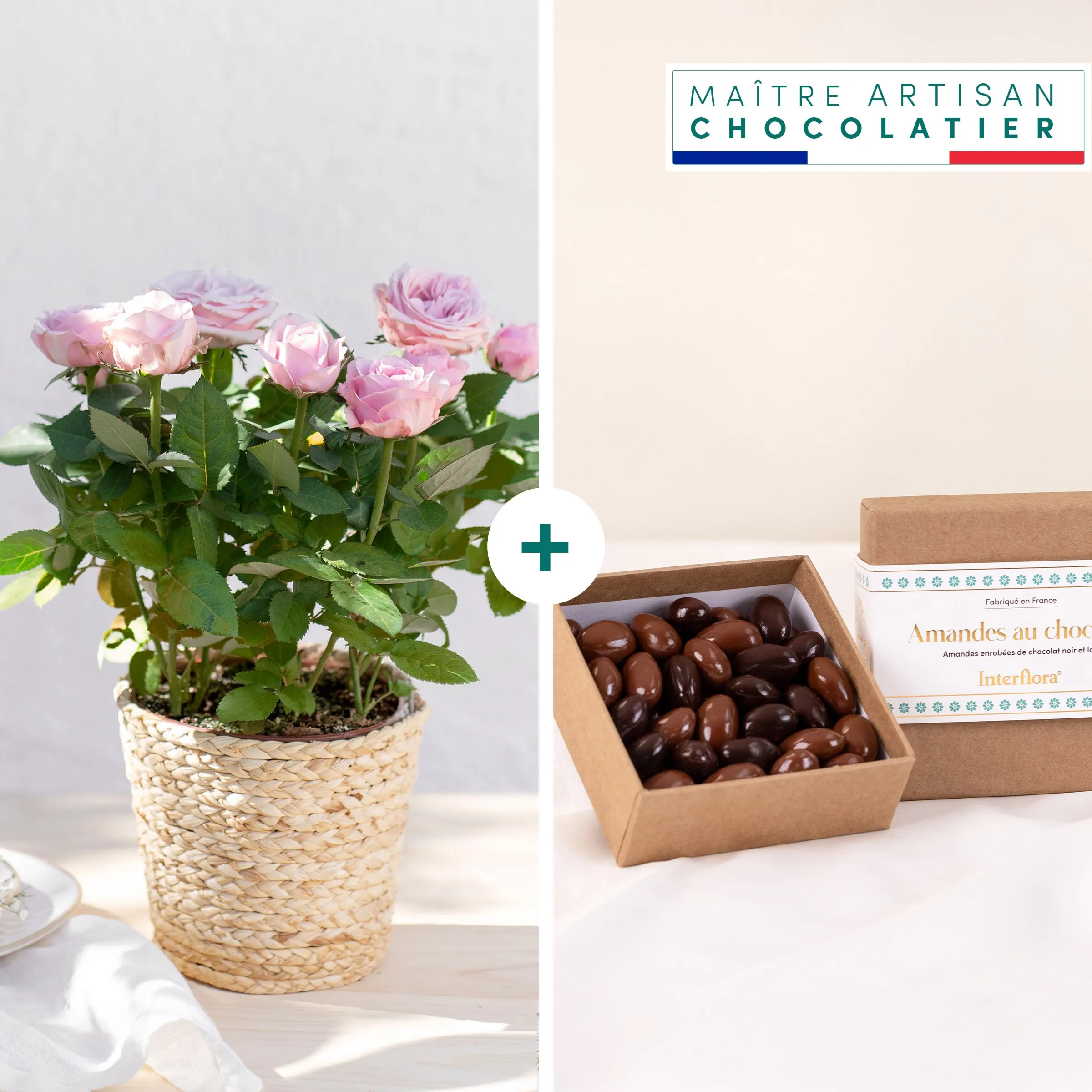 Rosier et ses chocolats - France