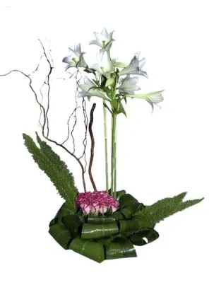 Arrangement of Cut Flowers