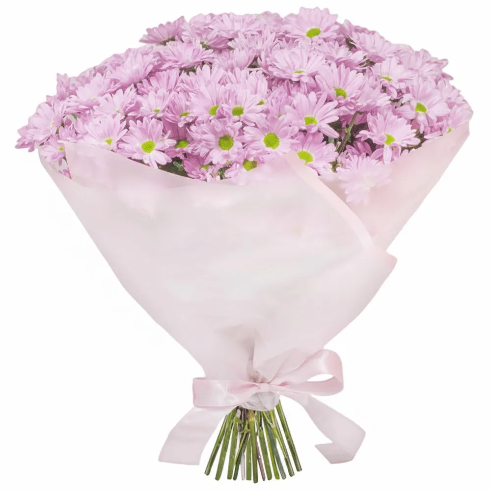 Pink marguerite bouquet