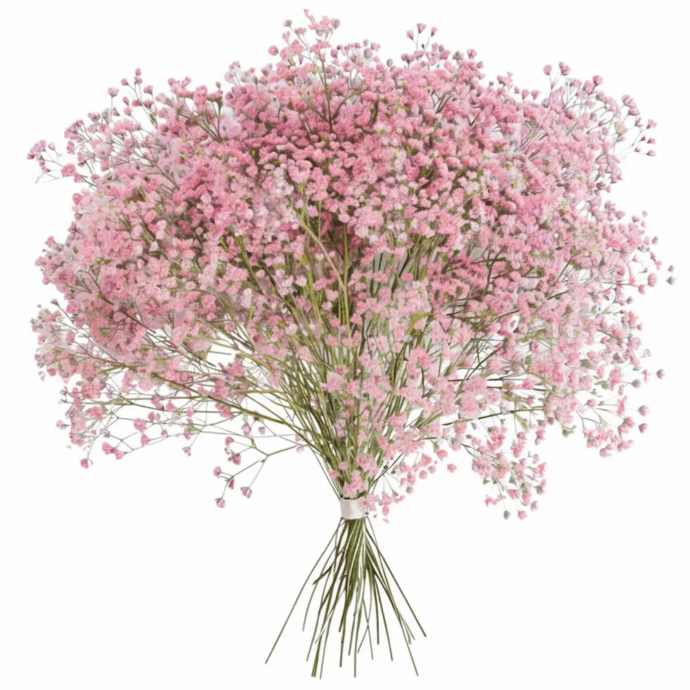A bouquet of pink baby's breath