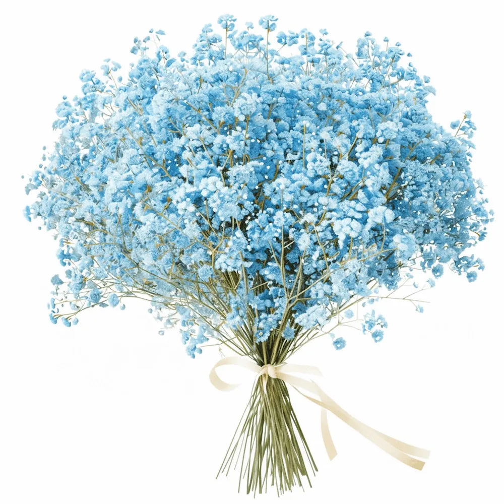 A bouquet of blue baby's breath