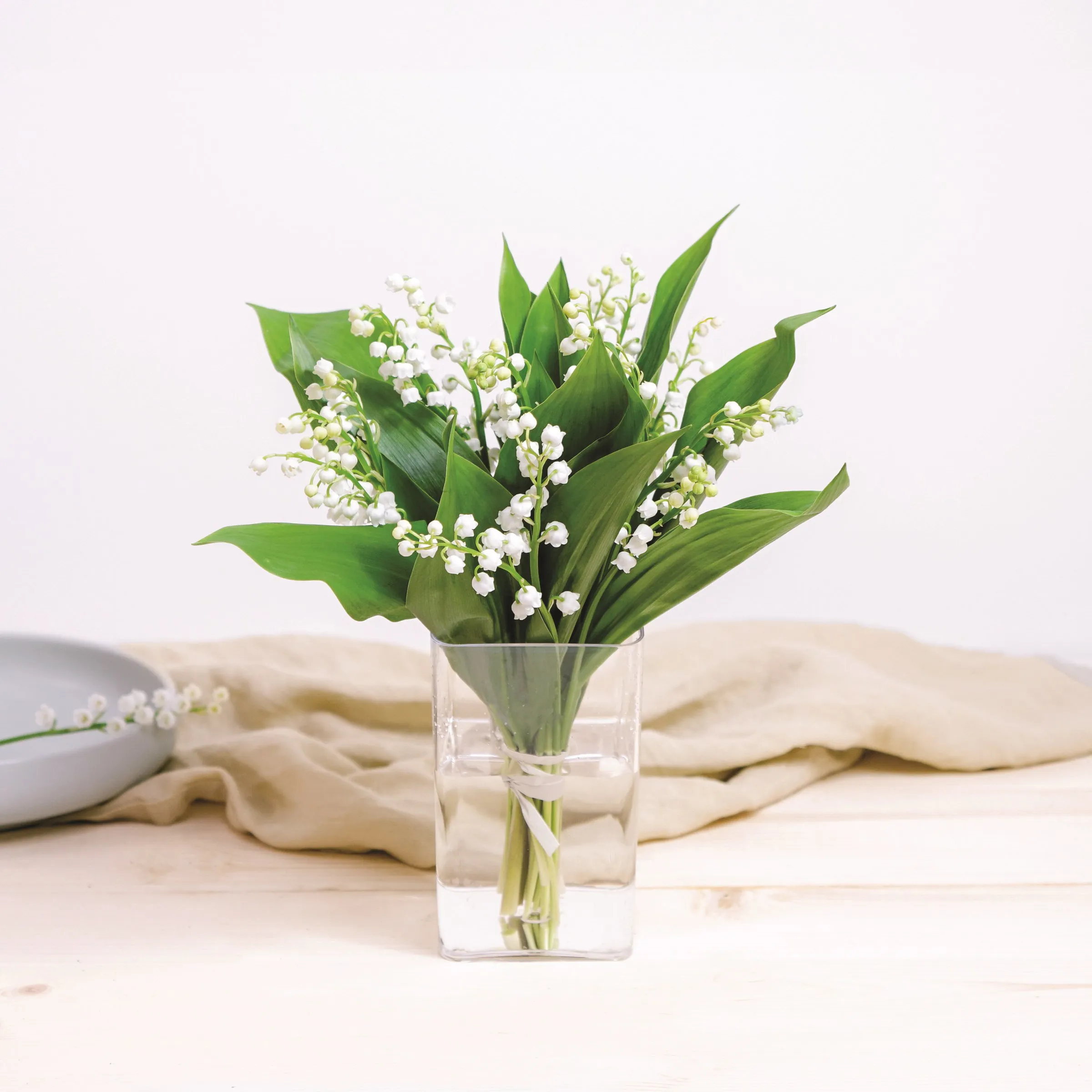Bouquet de muguet - France