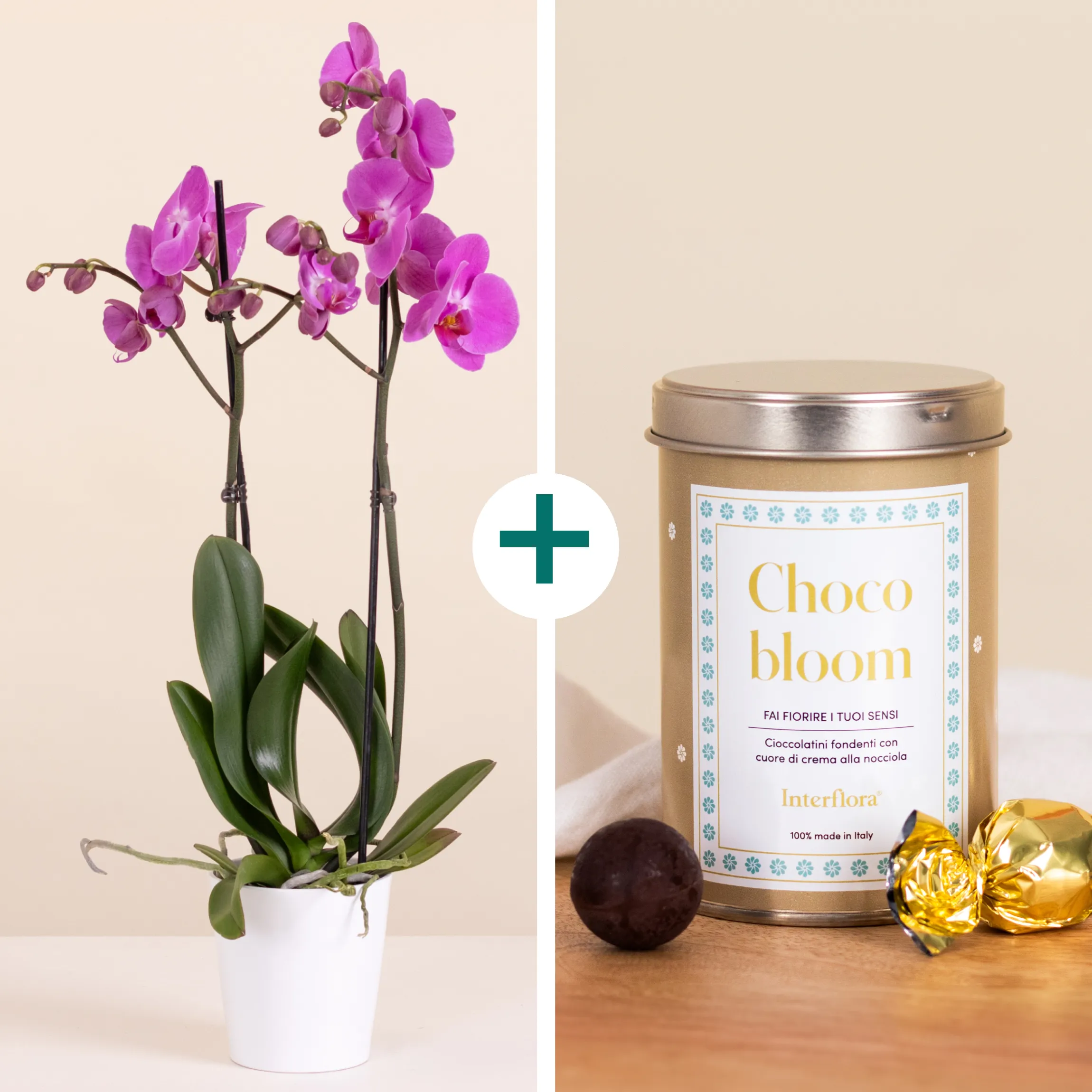 Soft Embrace - Italy