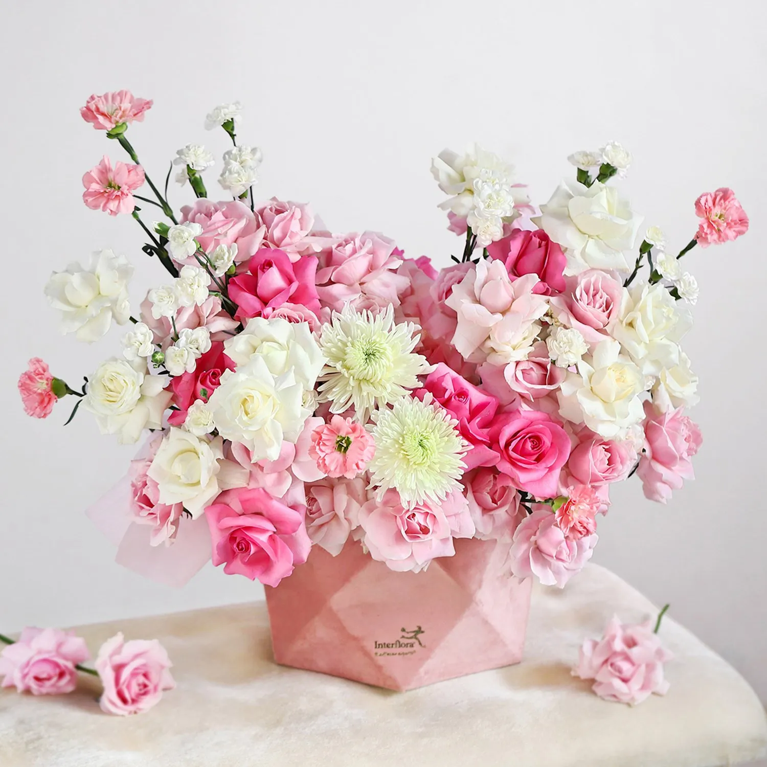 Plush in Pink - India