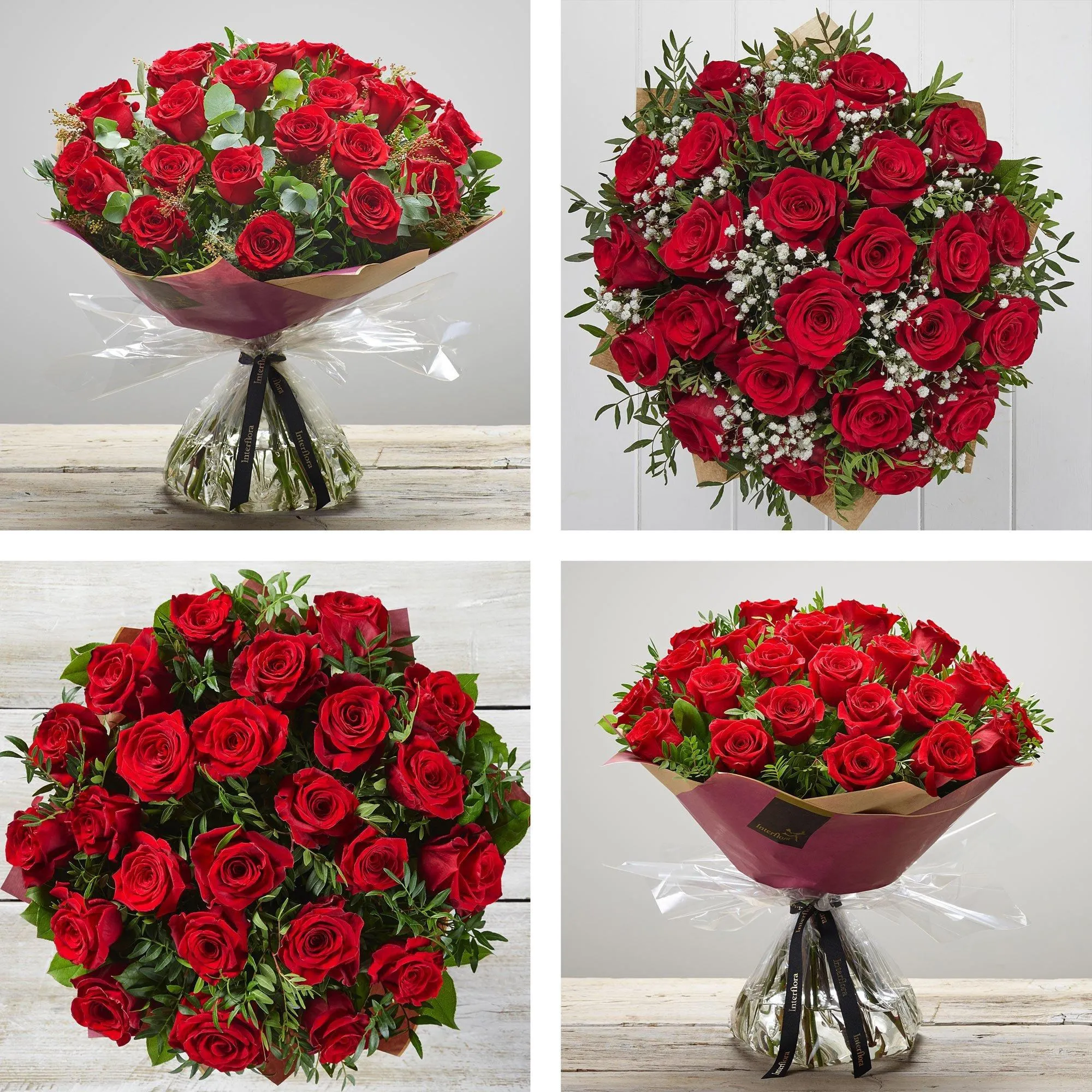 24 Long Roses - Gibraltar