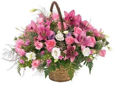 Arrangement in pink - Israel