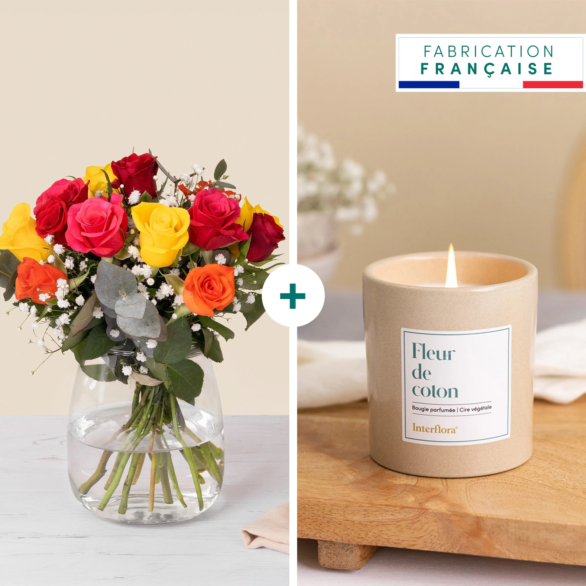Roses multicolores et bougie - Multicolored roses and candle - France