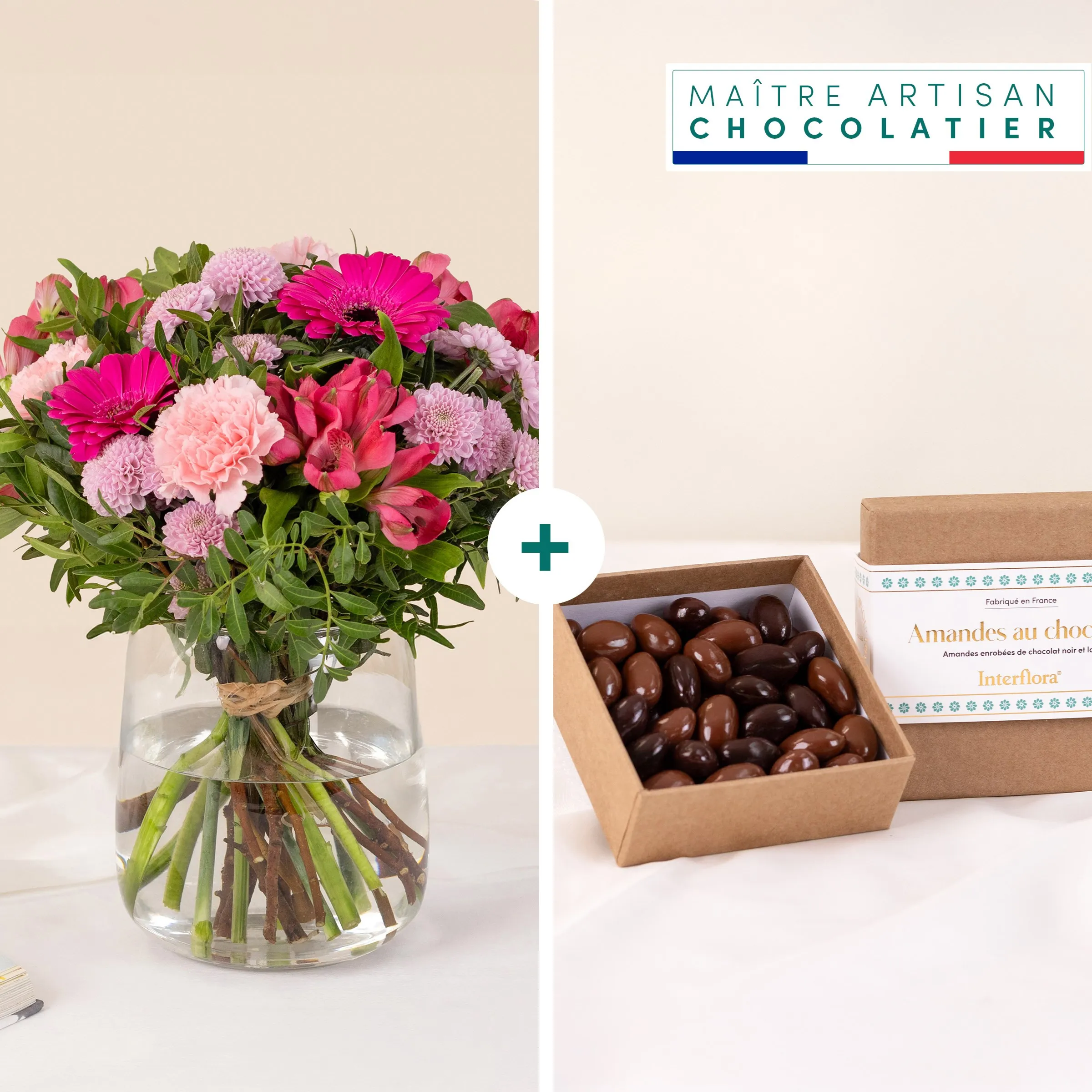 Douceur poudree et chocolat - Powdery softness and chocolate