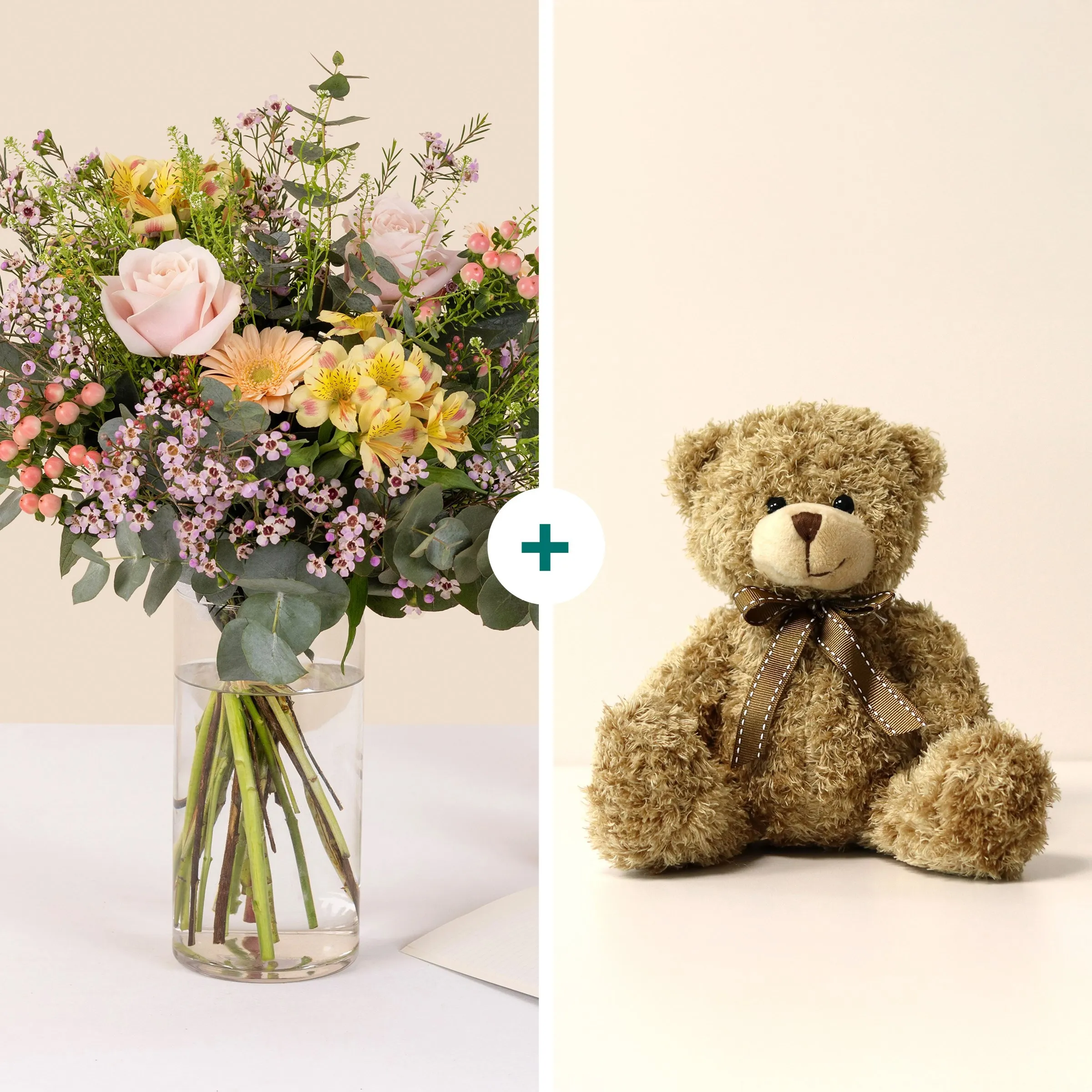 Sorbet and Teddy bear - Sorbet et son ourson - France