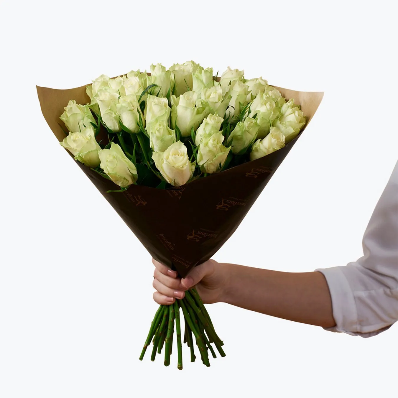 Roses White 30 - Norway