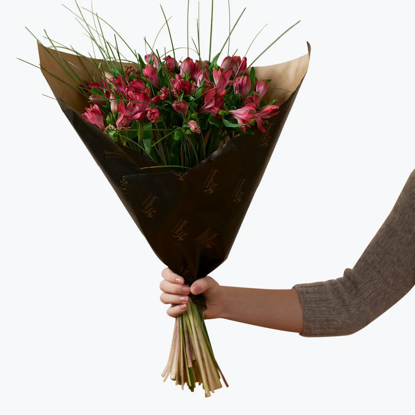 Beautiful Purple - Norway