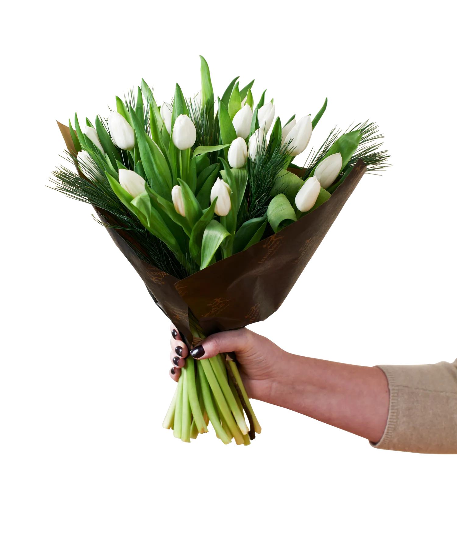 Christmas Tulips White 240518 - Norway