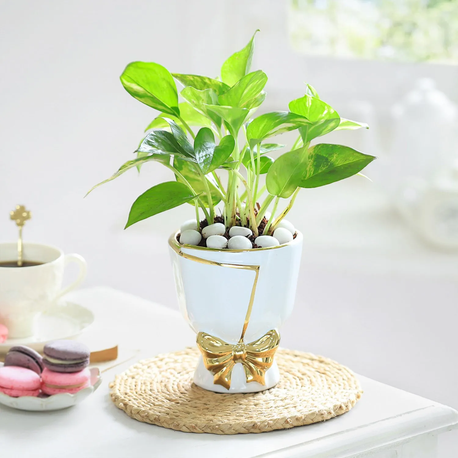 Bow of Abundance - India